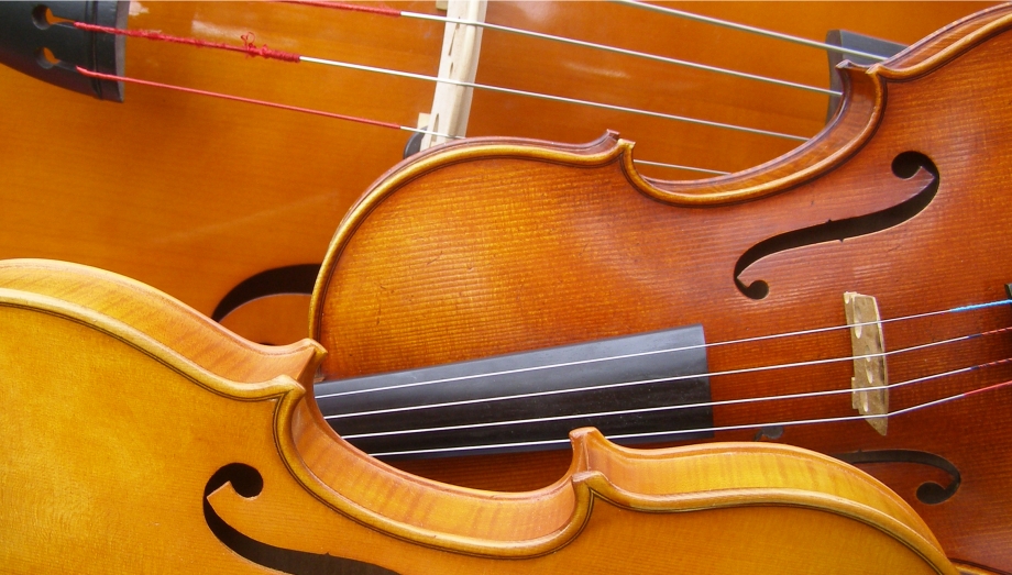violin lessons in Annapolis viola lessons in Annapolis 